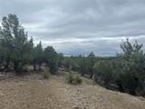 TBD Buena Vista Road - Photo 8