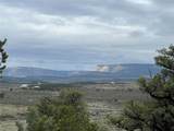 TBD Buena Vista Road - Photo 9