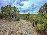 623A County Road 69 - Photo 41