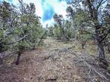 623A County Road 69 - Photo 45