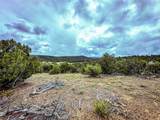 623B County Road 69 - Photo 17
