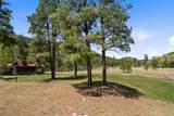 31 Tres Lagunas - Photo 54