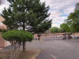 3300 Rufina Street - Photo 10