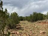 27 Acres Nm 3 - Photo 10