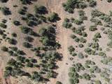 27 Acres Nm 3 - Photo 19