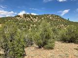 27 Acres Nm 3 - Photo 9