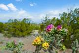 0 Camino Del Sol - Photo 19