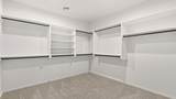3611 Calle De La Alegria - Photo 23
