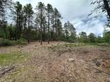 Block 1 Lot 19 Brazos Estates - Photo 3