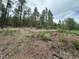Block 1 Lot 19 Brazos Estates - Photo 4
