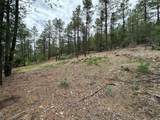 Block 1 Lot 19 Brazos Estates - Photo 5