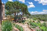 21 & 34 Camino Ladera - Photo 43