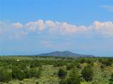 7 MM 359 Hwy 285 - Photo 4