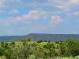 7 MM 359 Hwy 285 - Photo 5