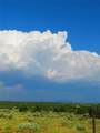 7 MM 359 Hwy 285 - Photo 6