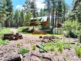 20 Outliers Road - Photo 40