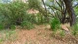 019 Redwood Grove - Photo 83