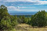 95 Grenfell Ranch & 30 Blue Agave - Photo 10
