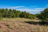 95 Grenfell Ranch & 30 Blue Agave - Photo 16