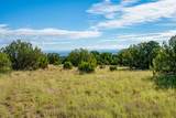 95 Grenfell Ranch & 30 Blue Agave - Photo 17