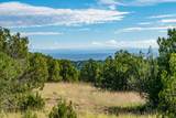95 Grenfell Ranch & 30 Blue Agave - Photo 18