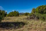 95 Grenfell Ranch & 30 Blue Agave - Photo 19