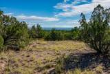 95 Grenfell Ranch & 30 Blue Agave - Photo 20