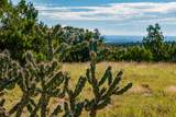 95 Grenfell Ranch & 30 Blue Agave - Photo 21