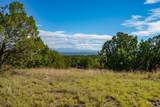 95 Grenfell Ranch & 30 Blue Agave - Photo 24