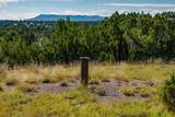 95 Grenfell Ranch & 30 Blue Agave - Photo 25