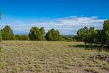 95 Grenfell Ranch & 30 Blue Agave - Photo 26