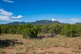 95 Grenfell Ranch & 30 Blue Agave - Photo 27