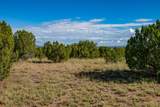 95 Grenfell Ranch & 30 Blue Agave - Photo 29