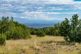 95 Grenfell Ranch & 30 Blue Agave - Photo 3