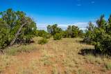95 Grenfell Ranch & 30 Blue Agave - Photo 30