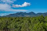 95 Grenfell Ranch & 30 Blue Agave - Photo 31