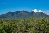 95 Grenfell Ranch & 30 Blue Agave - Photo 32
