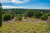 95 Grenfell Ranch & 30 Blue Agave - Photo 33