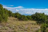 95 Grenfell Ranch & 30 Blue Agave - Photo 34