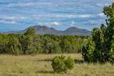 95 Grenfell Ranch & 30 Blue Agave - Photo 35
