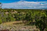95 Grenfell Ranch & 30 Blue Agave - Photo 36