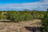 95 Grenfell Ranch & 30 Blue Agave - Photo 37