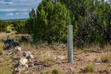 95 Grenfell Ranch & 30 Blue Agave - Photo 41
