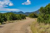 95 Grenfell Ranch & 30 Blue Agave - Photo 42
