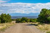 95 Grenfell Ranch & 30 Blue Agave - Photo 43