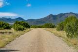 95 Grenfell Ranch & 30 Blue Agave - Photo 44