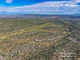 95 Grenfell Ranch & 30 Blue Agave - Photo 46