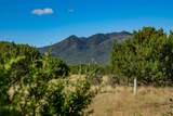 95 Grenfell Ranch & 30 Blue Agave - Photo 5
