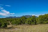 95 Grenfell Ranch & 30 Blue Agave - Photo 6