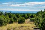 95 Grenfell Ranch & 30 Blue Agave - Photo 7